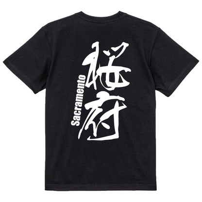 2025020840245 FOOL Original T-Shirt black