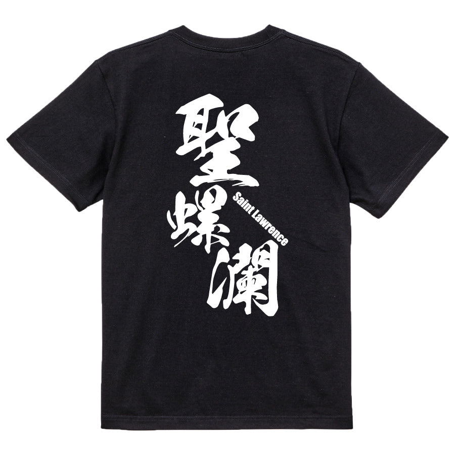 2025020840257 FOOL Original T-Shirt black