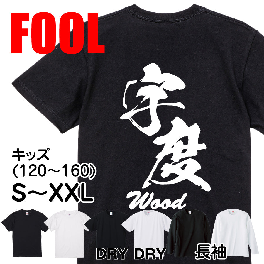 2025020840338 FOOL Original T-Shirt main image