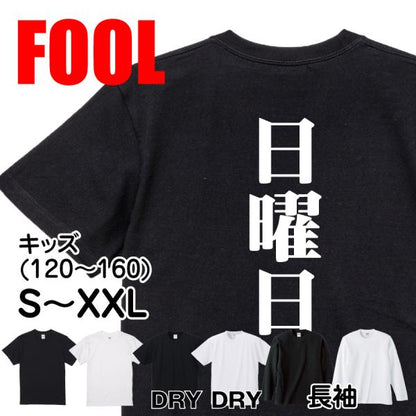 Japanese Kanji Graphic T-Shirt – Original FOOL Design 202501280040 - Black
