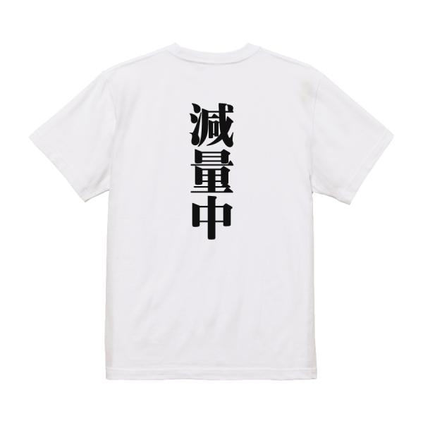 Japanese Kanji Graphic T-Shirt – Original FOOL Design 202501280046 - Black