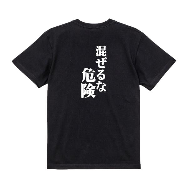 Japanese Kanji Graphic T-Shirt – Original FOOL Design 202501280135 - Black