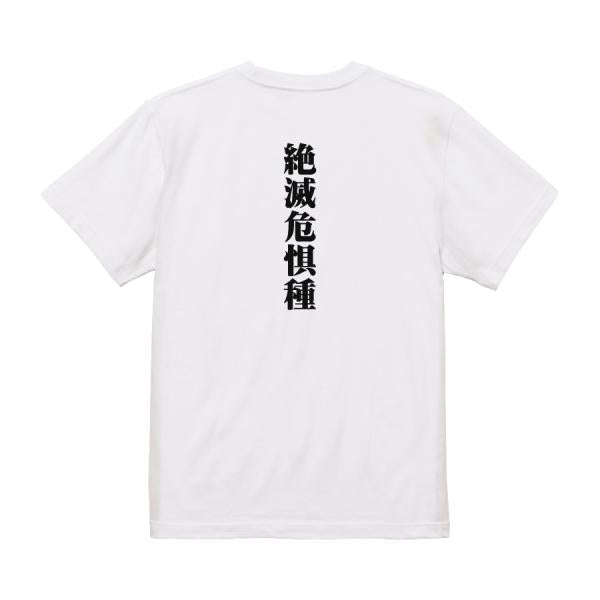 Japanese Kanji Graphic T-Shirt – Original FOOL Design 202501280264 - Black
