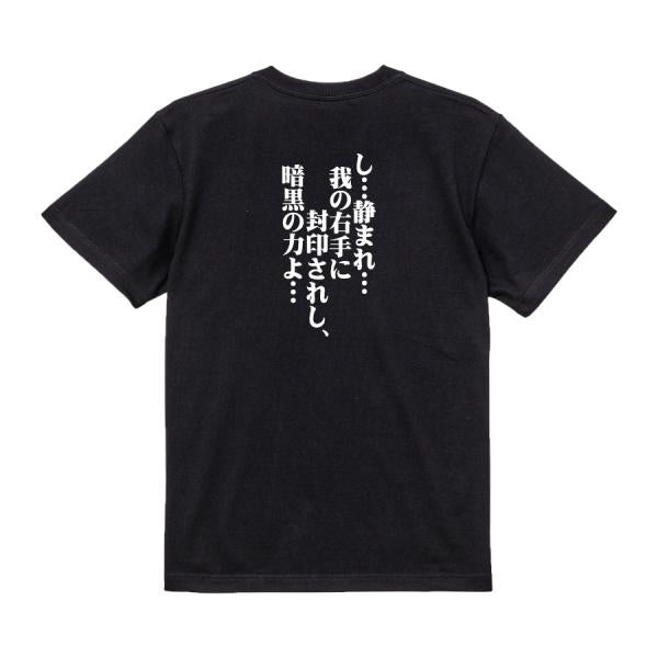 Japanese Kanji Graphic T-Shirt – Original FOOL Design 202501280270 - Black
