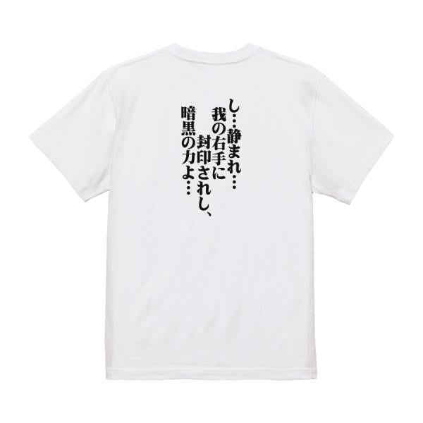 Japanese Kanji Graphic T-Shirt – Original FOOL Design 202501280270 - Black
