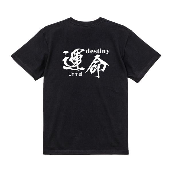 Japanese Kanji Graphic T-Shirt – Original FOOL Design 202501280303 - Black