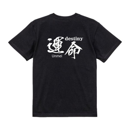 Japanese Kanji Graphic T-Shirt – Original FOOL Design 202501280303 - Black