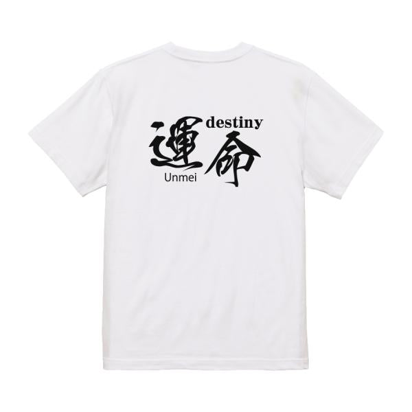 Japanese Kanji Graphic T-Shirt – Original FOOL Design 202501280303 - Black