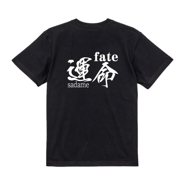 Japanese Kanji Graphic T-Shirt – Original FOOL Design 202501280314 - Black