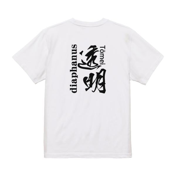 Japanese Kanji Graphic T-Shirt – Original FOOL Design 202501280335 - Black