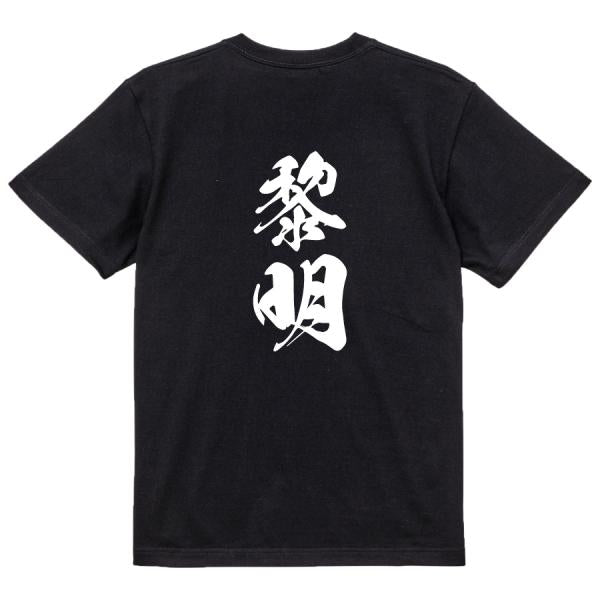 Japanese Kanji Graphic T-Shirt – Original FOOL Design 202501280347 - Black