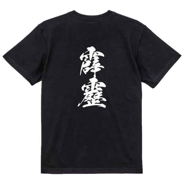 Japanese Kanji Graphic T-Shirt – Original FOOL Design 202501280349 - Black