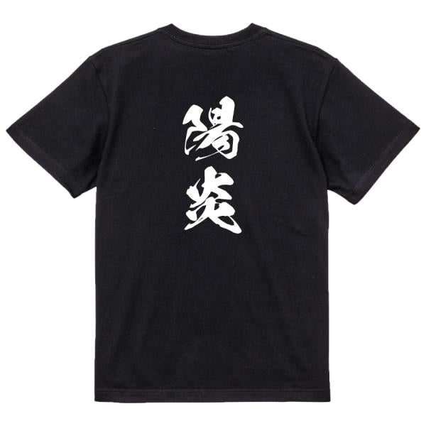 Japanese Kanji Graphic T-Shirt – Original FOOL Design 202501280385 - Black