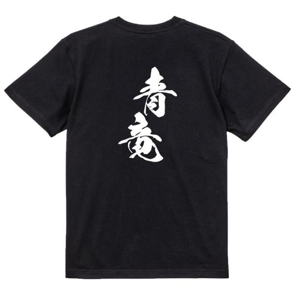 Japanese Kanji Graphic T-Shirt – Original FOOL Design 202501280404 - Black