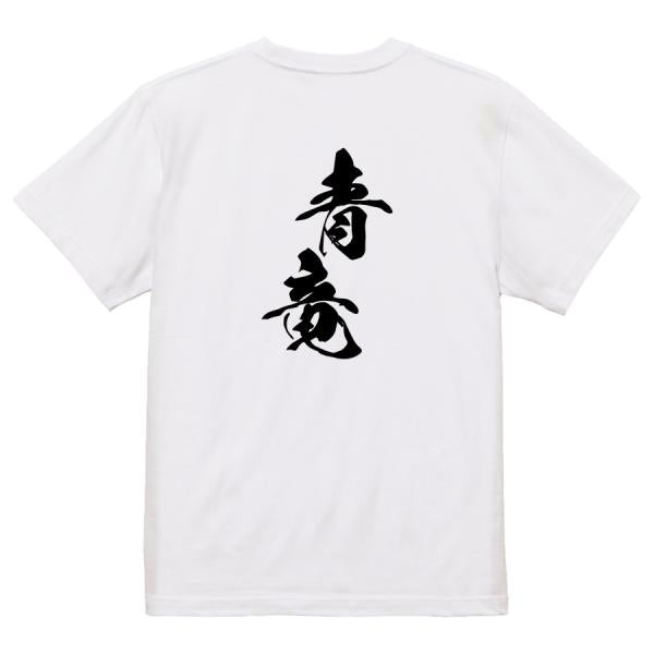 Japanese Kanji Graphic T-Shirt – Original FOOL Design 202501280404 - Black