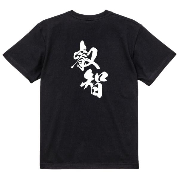 Japanese Kanji Graphic T-Shirt – Original FOOL Design 202501280409 - Black