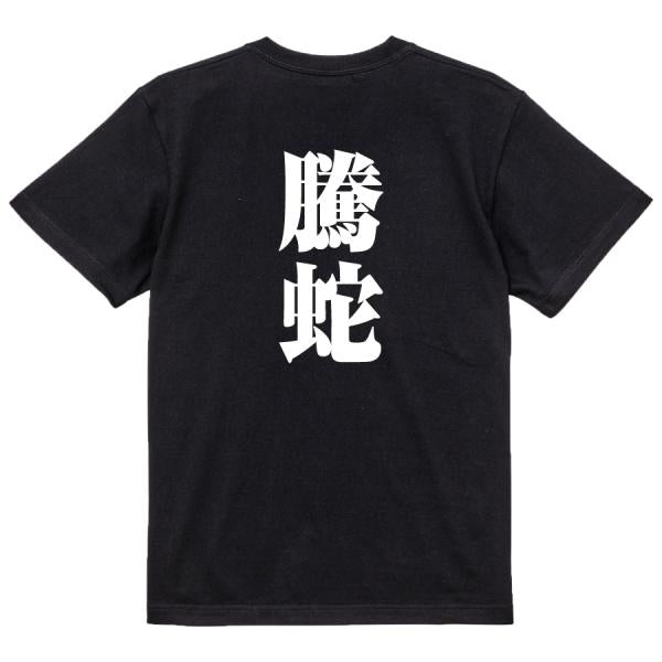 Japanese Kanji Graphic T-Shirt – Original FOOL Design 202501280678 - Black