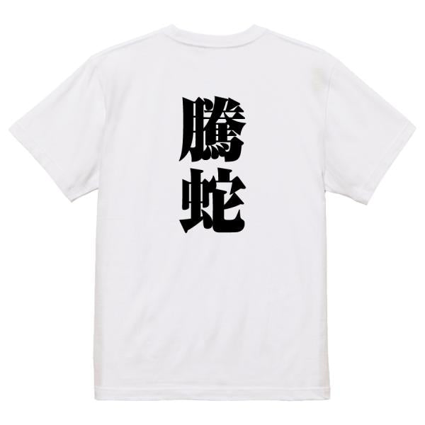 Japanese Kanji Graphic T-Shirt – Original FOOL Design 202501280678 - Black