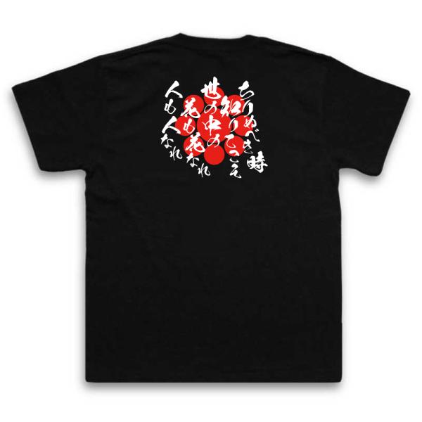 Hosokawa Gracia Japanese Samurai Quote T-Shirt - Only by Knowing When to Fall product image