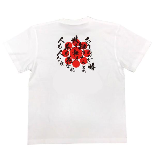 Hosokawa Gracia Japanese Samurai Quote T-Shirt - Only by Knowing When to Fall product image